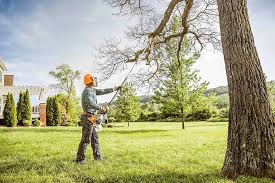 Best Lawn Edging  in Gunbarrel, CO